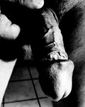 sensuel83