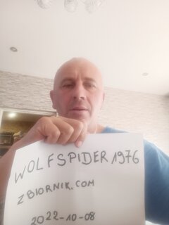 wolfspider1976