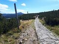 nibylandia77