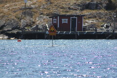 waldemar35