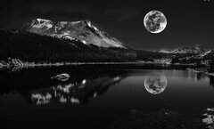 _night_wish_