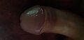 erni7878