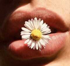 DaiSy99