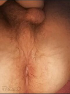 jaras3400