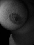 Maleenaa