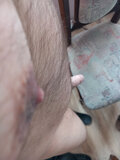 sympatycznyxy