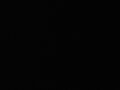 hospite