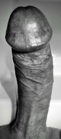 Selekta