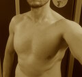 Stud84