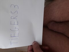 Tigers3