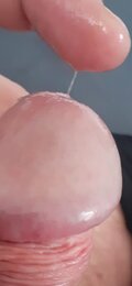 Piotrekzst