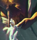 Rafal_0102