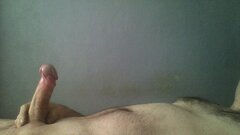 palik132