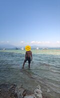 iveadam