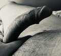 Peovenii