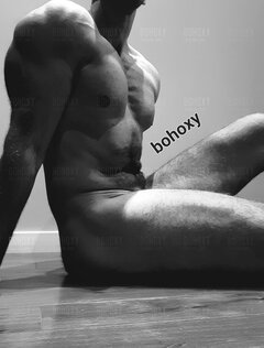 bohoxy