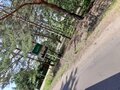 Michal901919