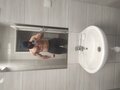 Fatjoe20
