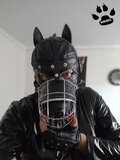 Anubis86PL