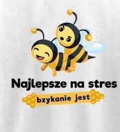 bodzio913