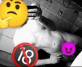 19Mrrrr10