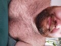 OwlosionyBear