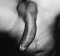 curious44