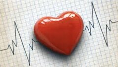 HeartBeat4045