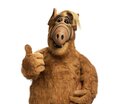 alf00