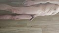 Wies6907