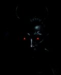 Adwokat__666