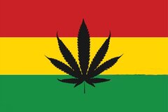 Men420