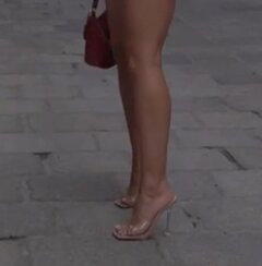 Kocica_1979