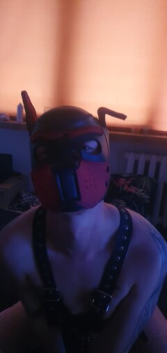 PuppyPrince
