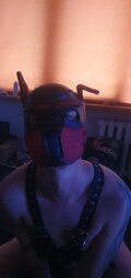 PuppyPrince