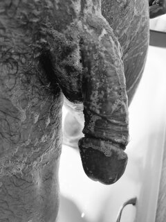 Rocco_debiutant