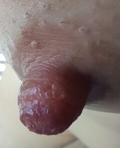 BDSMonIona