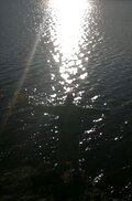 dajtenstaff86