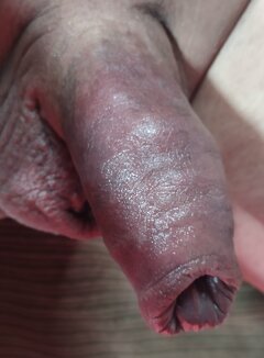 Pegas37