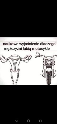 PoznajPawcia