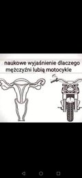PoznajPawcia