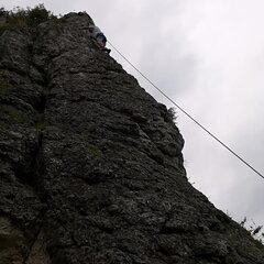Adrenalinozerca1