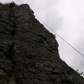 Adrenalinozerca1