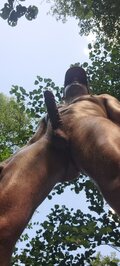 CuckoldWSC