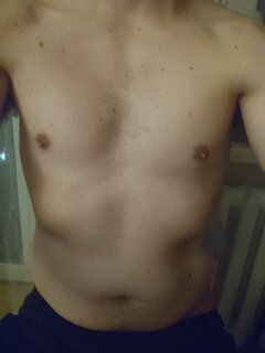 Lizarb8
