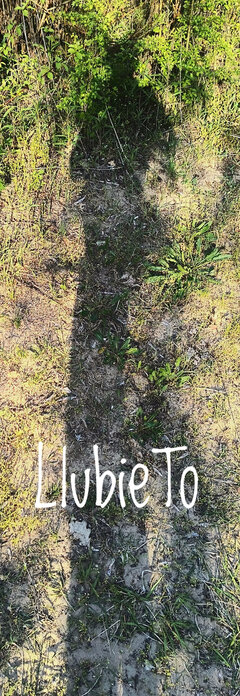 LlubieTo