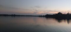 Poziomek1986