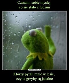 _jakub91_