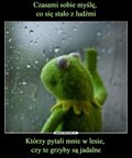 _jakub91_