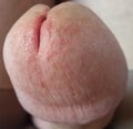 kochanek770727